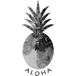 hawaiiハイビスカス